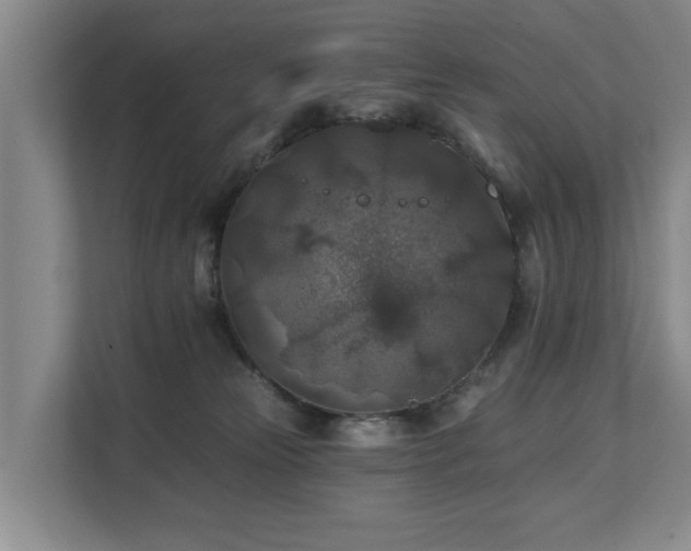 X0000111380181200907101133