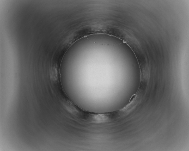 X0000111380183200907101133