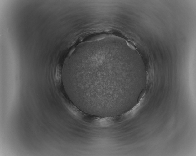 X0000111380186200907101133