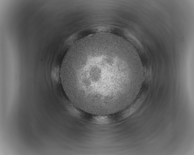 X0000111380189200907101133