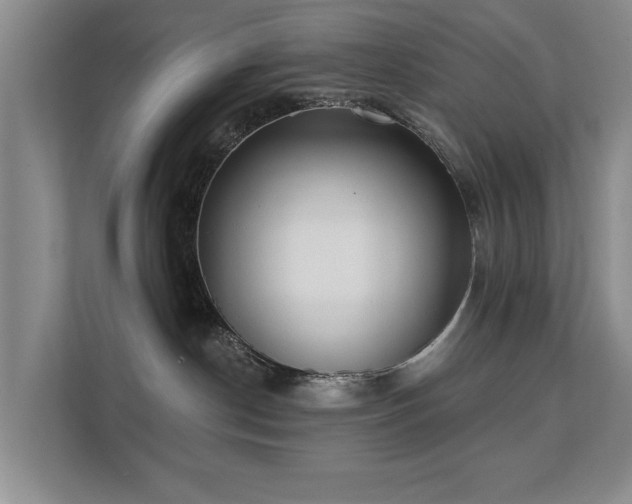 X0000111380190200907101133