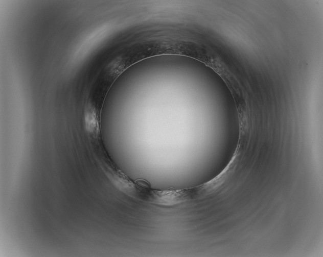X0000111380191200907101133