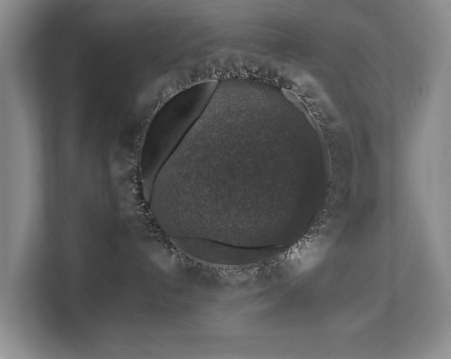 X0000111380192200907101133