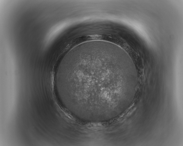 X0000111380194200907101133