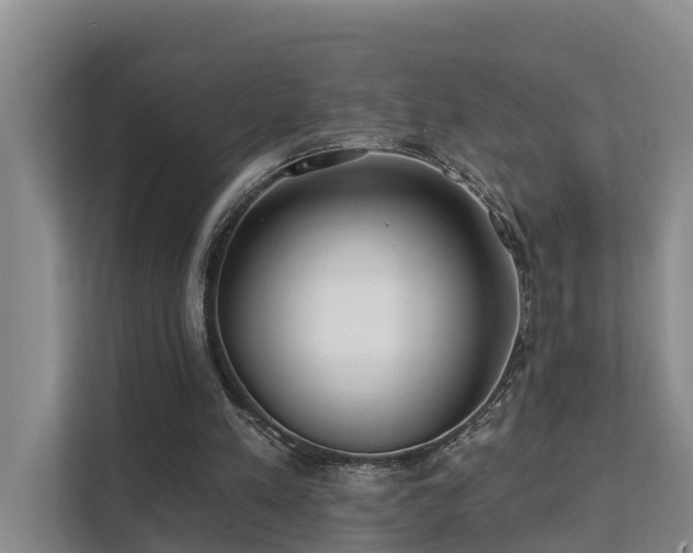 X0000111380197200907101133