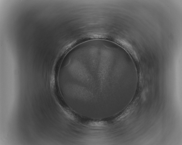 X0000111380202200907101133