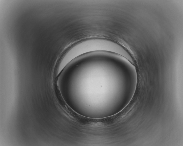 X0000111380203200907101133