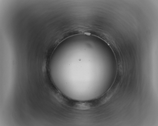 X0000111380221200907101132