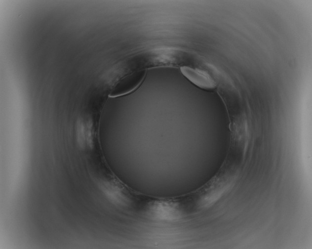 X0000111380223200907101132