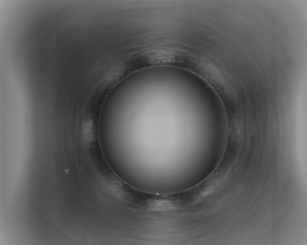 X0000111380224200907101132