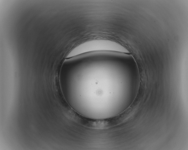 X0000111380225200907101132