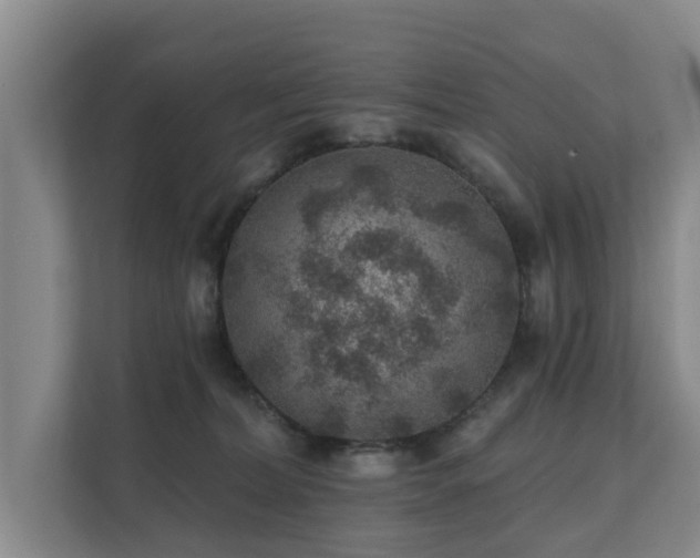 X0000111380228200907101132