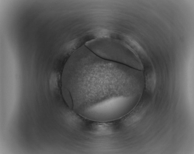 X0000111380229200907101132