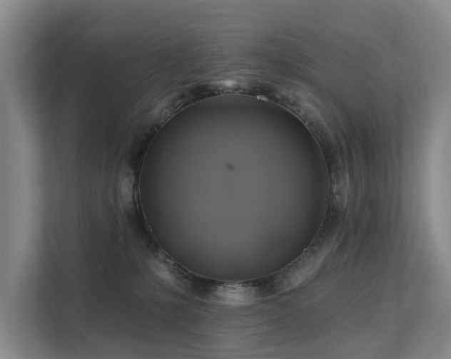 X0000111380231200907101132