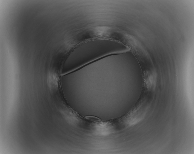 X0000111380235200907101132
