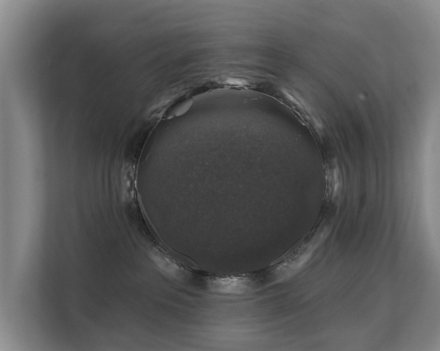 X0000111380237200907101132