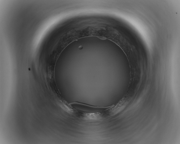 X0000111380239200907101132