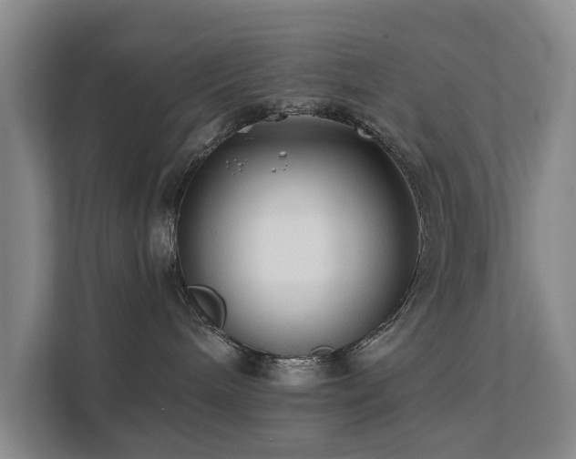 X0000111380240200907101132