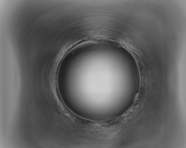 X0000111380241200907101132