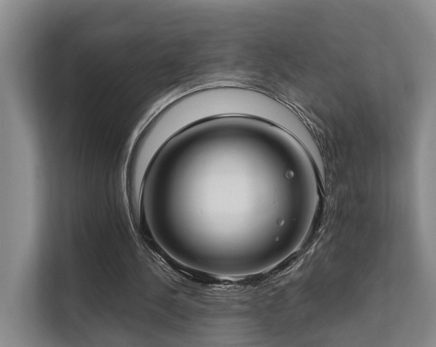 X0000111380244200907101132