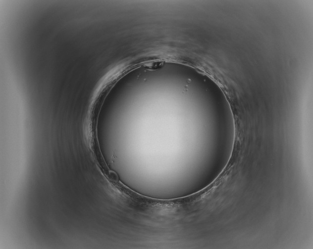 X0000111380245200907101132