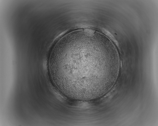 X0000111380249200907101132