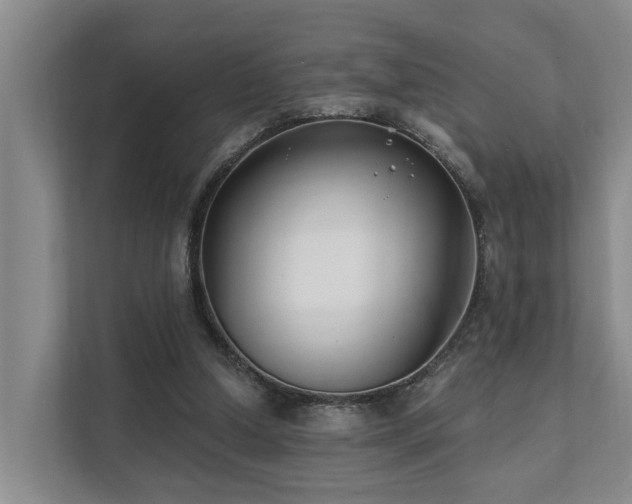 X0000111380250200907101132