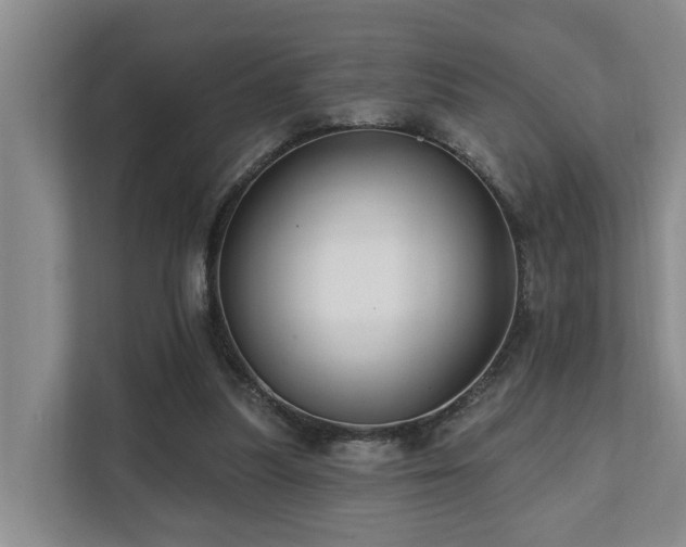 X0000111380251200907101132