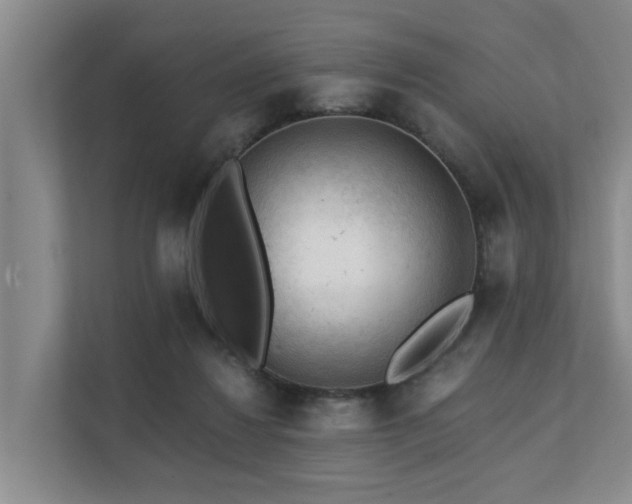 X0000111380260200907101132