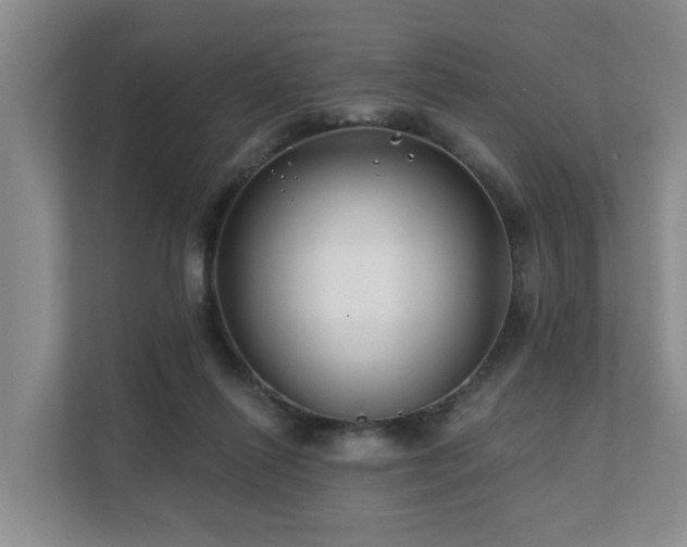 X0000111380262200907101132