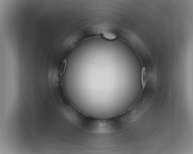 X0000111380264200907101132