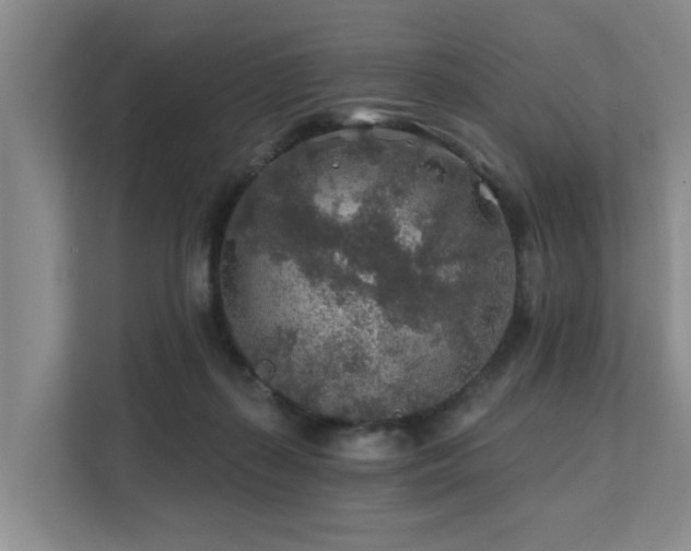 X0000111380267200907101132
