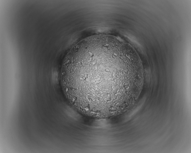 X0000111380269200907101132