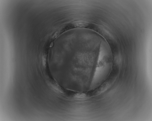 X0000111380271200907101132