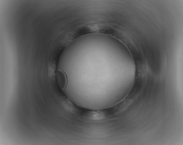 X0000111380275200907101132