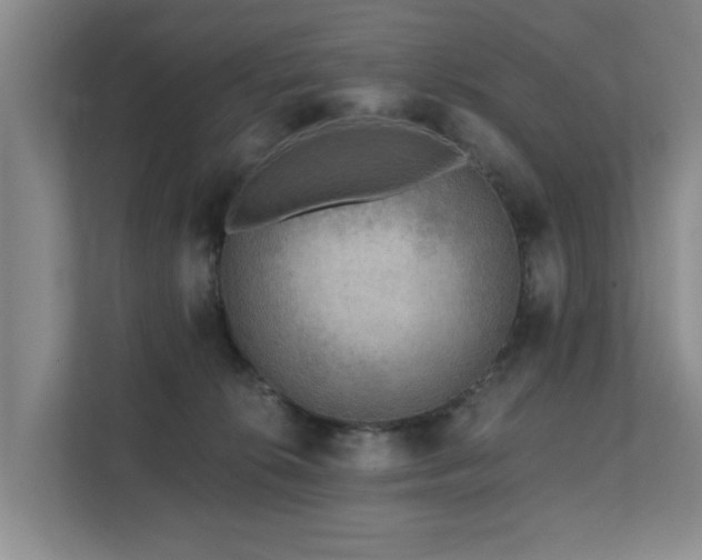 X0000111380276200907101132