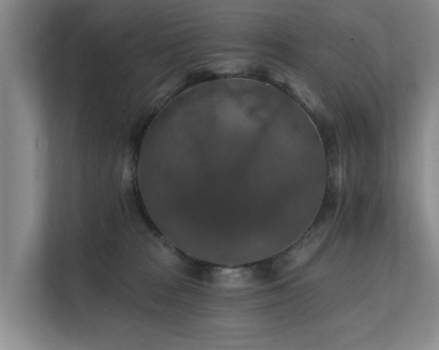 X0000111380277200907101132