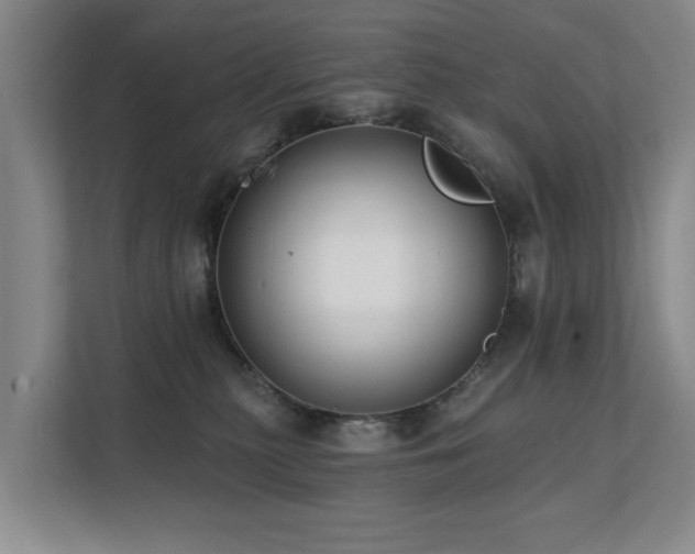 X0000111380279200907101132