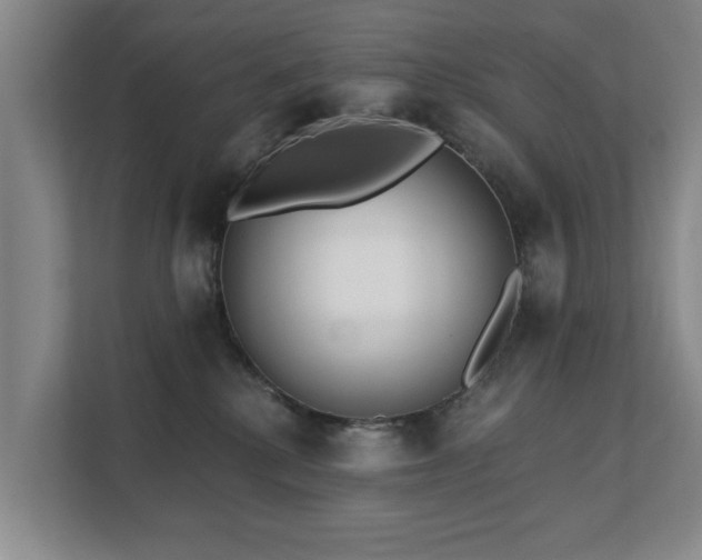 X0000111380280200907101132