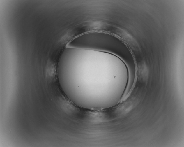 X0000111380284200907101132