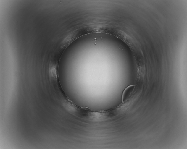 X0000111380286200907101132