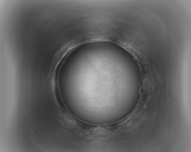 X0000111380290200907101132