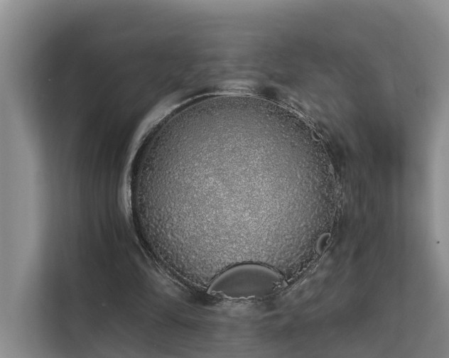 X0000111380294200907101131