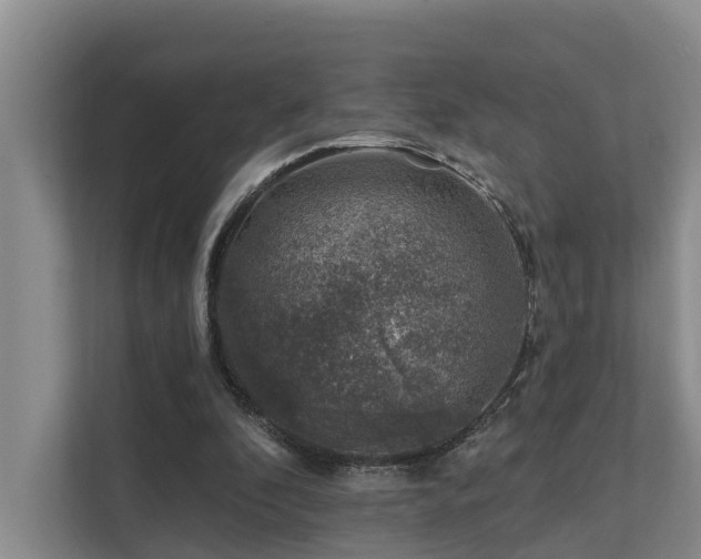 X0000111380296200907101131
