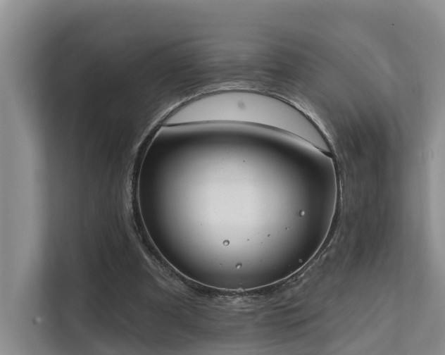 X0000111380297200907101131