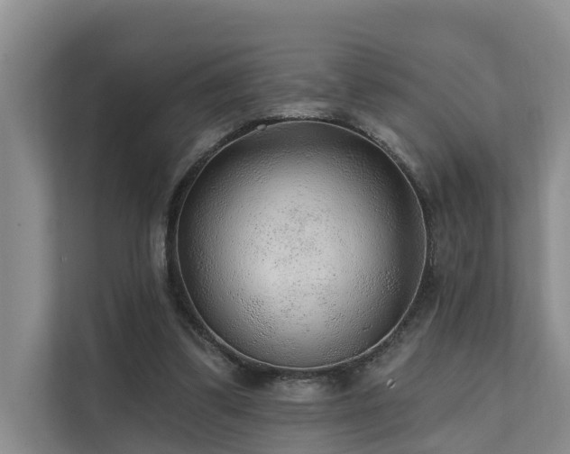 X0000111380299200907101131