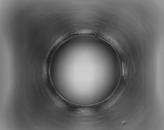 X0000111380300200907101131
