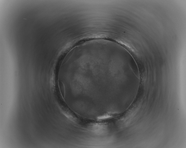 X0000111380303200907101131