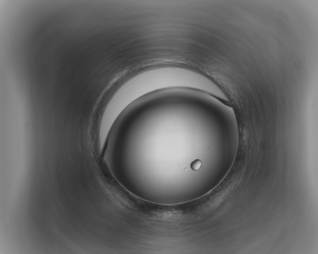 X0000111380304200907101131