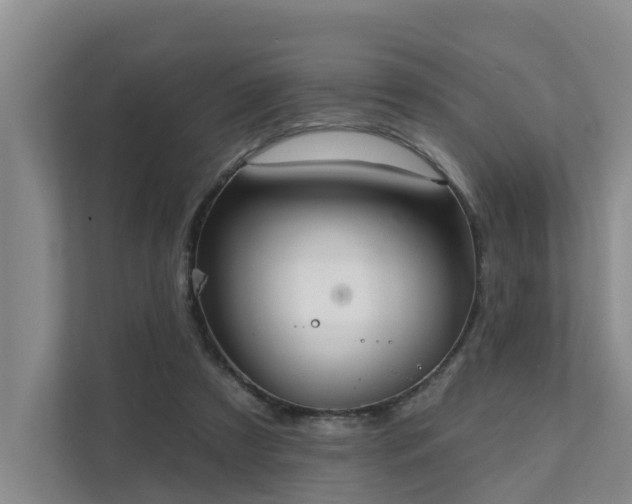X0000111380305200907101131